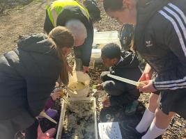 Bug Safari at Fox Hill Bank Nature Reserve
