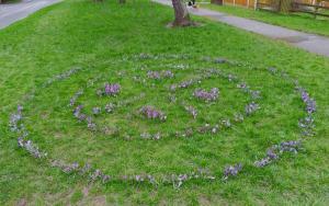 Rockcliffe Rotakids planting crocus bulbs