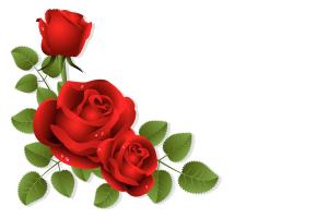 Computer image of red roses.