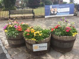 Ross-on-Wye Rotary Club Town Flower Display