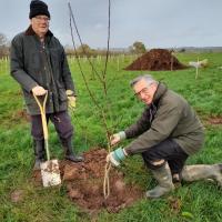 President David Lewis (right) and Rtn Mike Hellings (left)planting the Centenary Trees