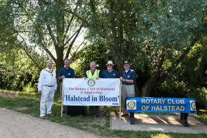 Showing support for Halstead in Bloom