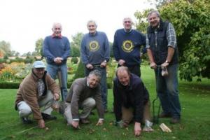 Planting Day for Focus on the Crocus