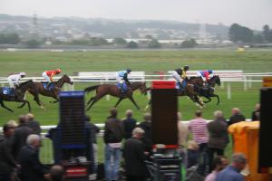 Newton Abbot races Sept 2013