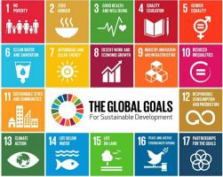 Rotary's Global Goals