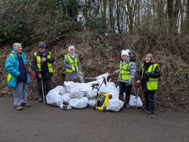 Accrington Rotary litterpick