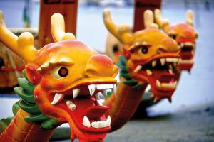 Dragon Boat races 2017