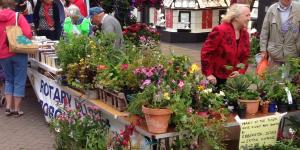 Rotary plant stall at Community Fair