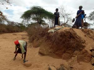 Preparing the Dam