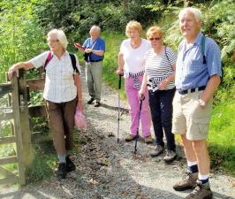 Some of the party on the Saturday Walk