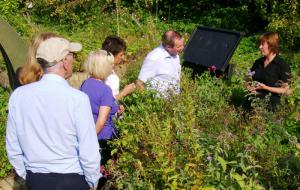 Visit to Scotswood Natural Community Garden