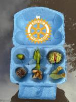 Autumn Seed Trail at Rodley Nature Reserve LS13 1HP Sunday 24 September 
