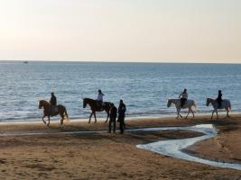 Description 	
English: Santa Severa - horse riding in winter
Italiano: Santa Severa - equitazione in inverno
Polski: Santa Severa - przejaÅ¼dÅ¼ka konna zimÄ…
Date 	Winter 2008
Source 	Own work
Author 	Fczarnowski