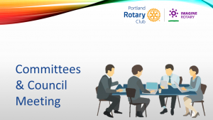 Committees followed by Council
