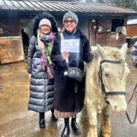 Our pony project