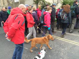 Wensleydale Wander 2014 Report