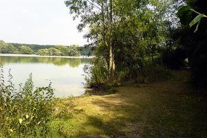 Spade Oak Nature Reserve 