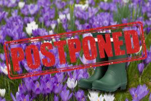 Sponsored Crocus Walk - Postponed