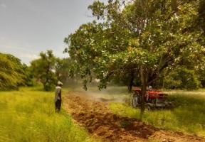 Start of rain and ploughing