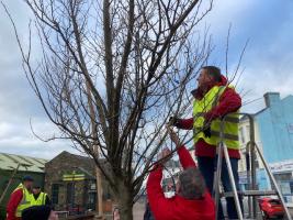 Taking Down the Christmas Decorations after Lockdown - Feb 2021