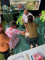 Tamar Valley Fete
Picture by Bob Wade