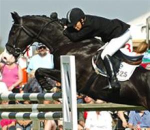 Oxfordshire & Thame Show