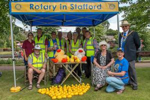 Duck Race 2015