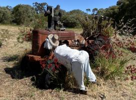 Photographic Competition 2024