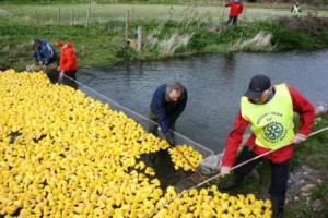 Duck Race