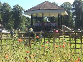 An Afternoon listening to Music in Wells