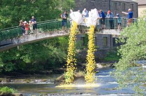 The Duck Race start