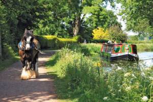 Tiverton Canal Barge Trip - 23 June 2013