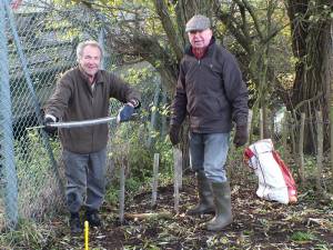 Tree Planting