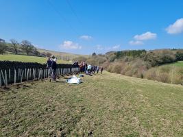 Ninth Tree Tree Planting