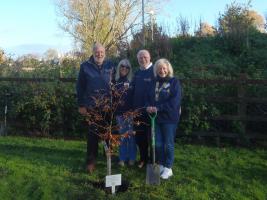Queen's Green Canopy Tree Planting