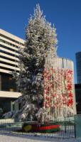 Tree of Remembrance which takes pride of place outside the Civic Centre. Tree is decked with red and yellow ribbons, creating a visual reminder of loved ones at Christmas.