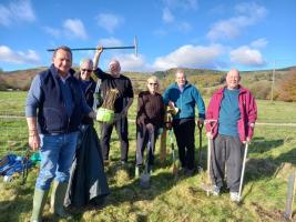 Tree Planting 