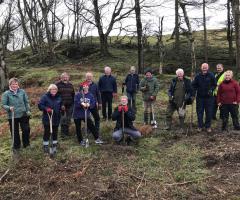 Tree Planting Party