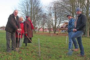 Diss Waveney Rotarians take a break from the task of planting saplings on Fair Green.