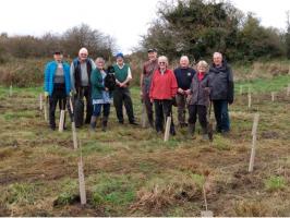 More than 1,000 native trees planted in Kirkcudbright