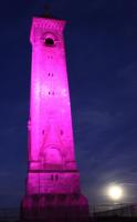 The Nibley monument bathed in purple celebrating Rotary World Polio day.