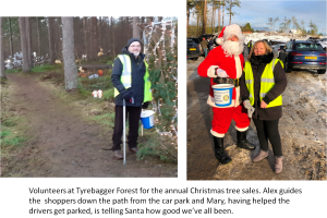 Volunteers at the forest