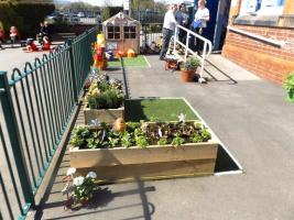 The Coop sponsored Community Garden at Victoria school  April 2018