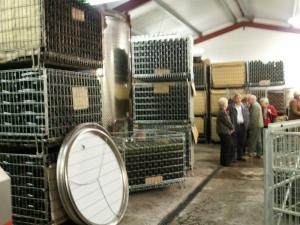 Club Visit to Halfpenny Green Vineyard