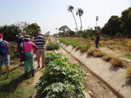 The Bakau Environmental Project update April 2024