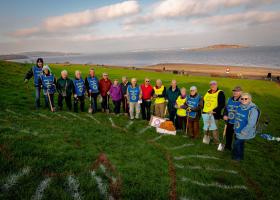 Crocus Planting 2018 - March 2020