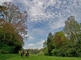 A striking image of riders and Waddesdon Manor, by Rotarian Chris Behan 