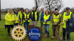 Crocus Planting at the Roborough Roundabout