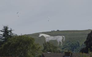 White Horse Cleaning