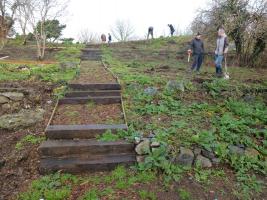 Delancey Park Woodland Walk Nears Completion (25 January 2014)